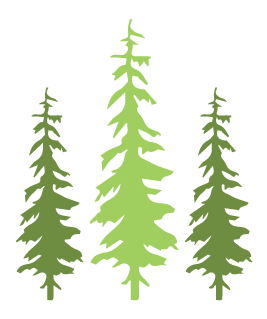 Image of a grouping of three evergreen trees.